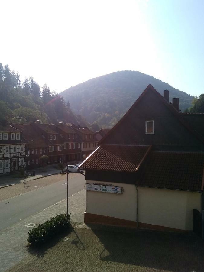 Hotel Bergschlosschen Zorge Exteriér fotografie